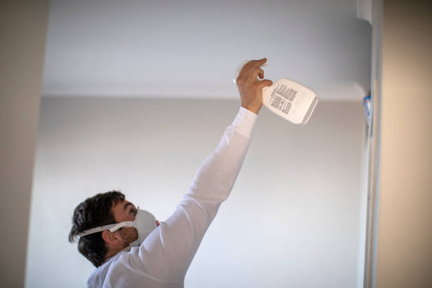 Best Office Mold Removal Services  in Indian Head Park, IL